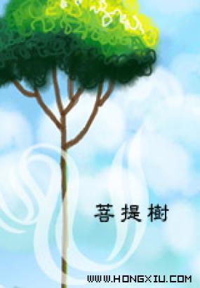菩提树