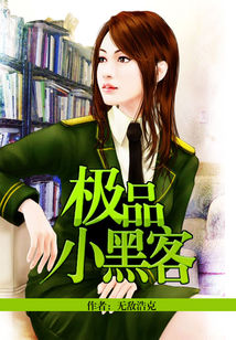 极品小黑客